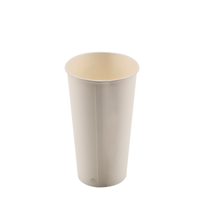 10oz PLA povlak Hot Paper Cup